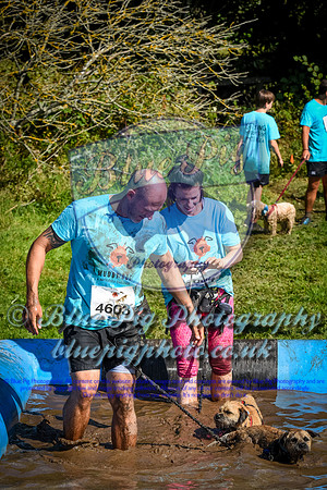 AND_0585
