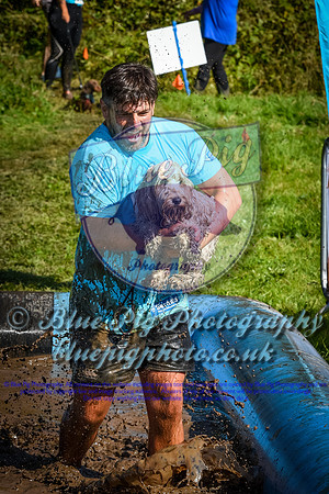 AND_0590