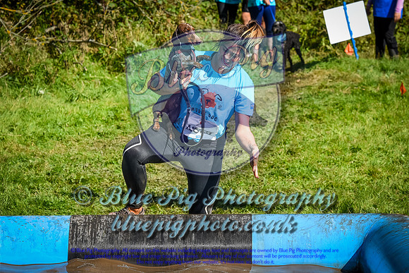 AND_0591