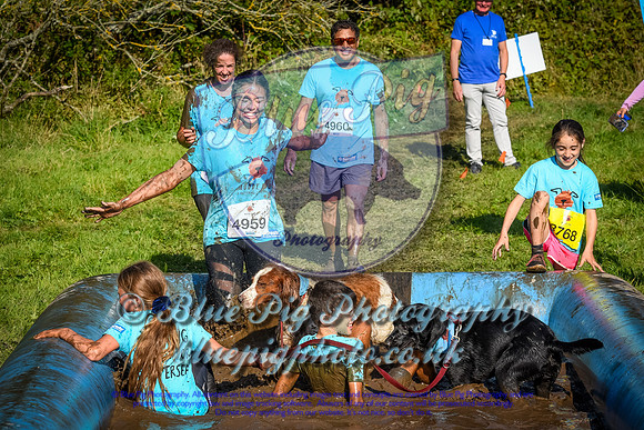 AND_1443