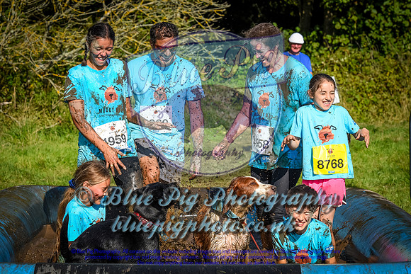 AND_1445