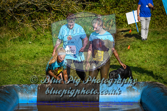 AND_1426