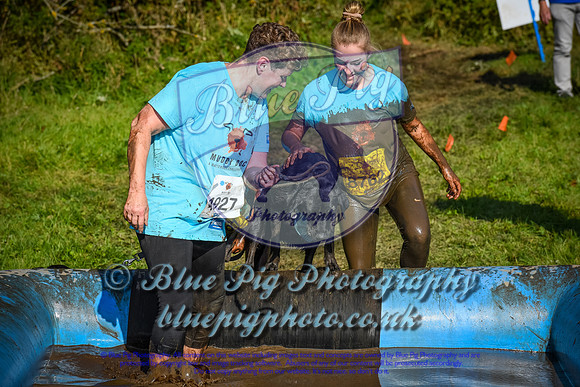 AND_1427