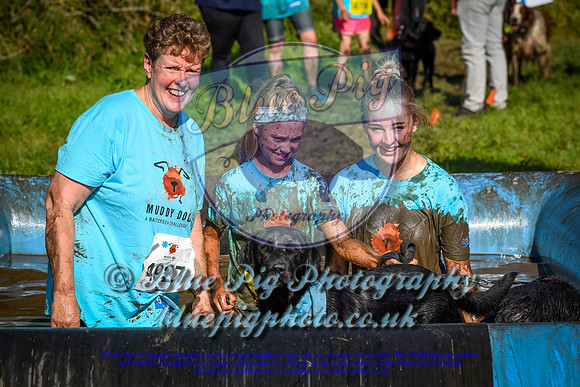 AND_1428