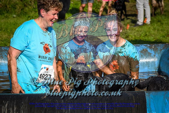 AND_1429