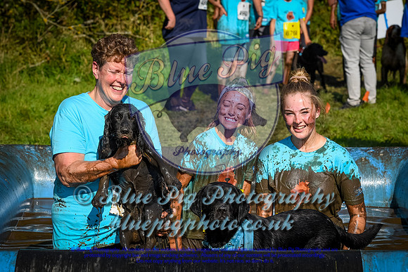 AND_1431