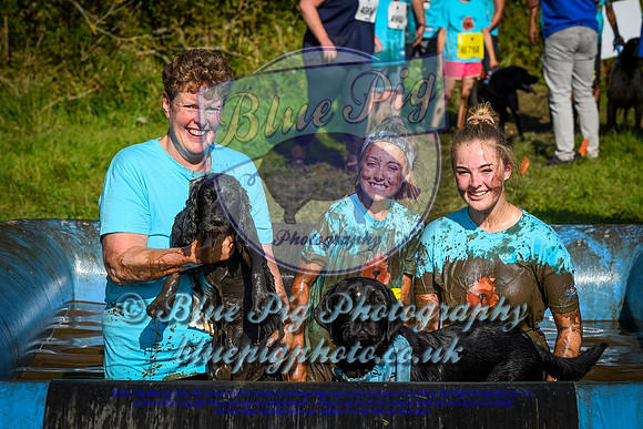 AND_1432