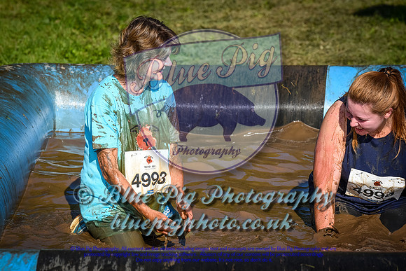 AND_1436