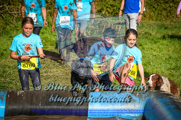 AND_1438