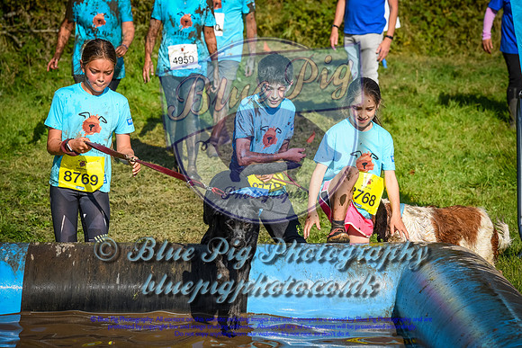 AND_1439