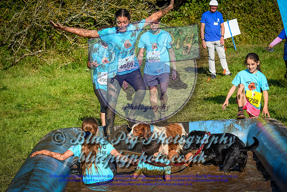 AND_1442