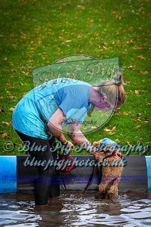 SMD_0732