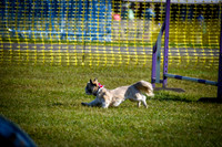 Agility