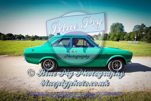 Blue Pig Photos-3