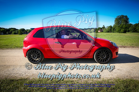 Blue Pig Photos-7