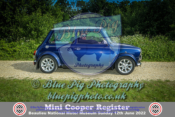 Blue Pig Photos-4-2