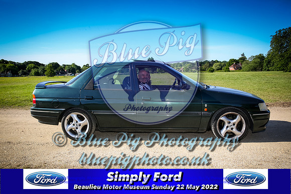 Blue Pig Photos-8-2