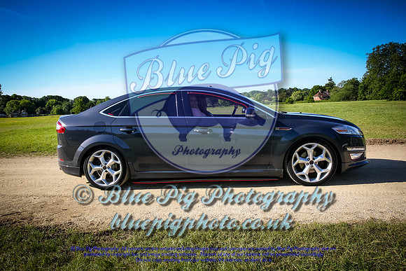 Blue Pig Photos-6