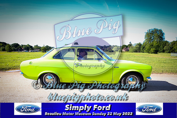 Blue Pig Photos-2-2