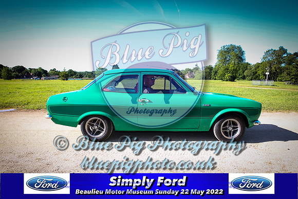 Blue Pig Photos-3-2
