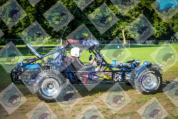 COG-0203-1