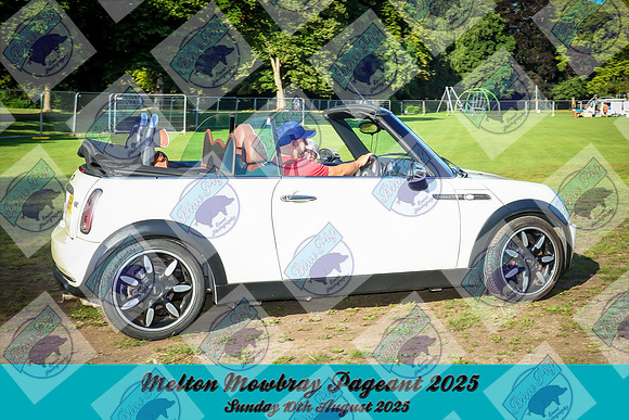 COG-0207-1-2