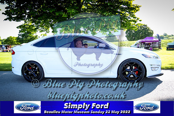 Blue Pig Photos-4-2