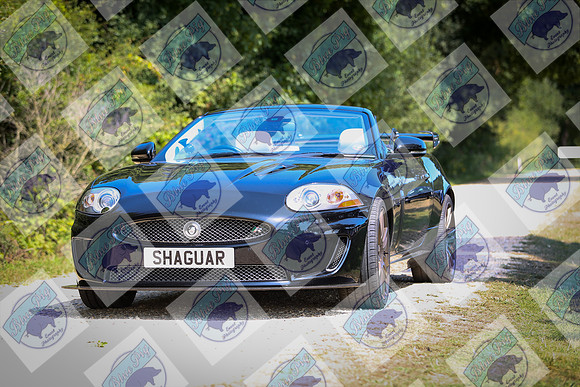 IMGM0227
