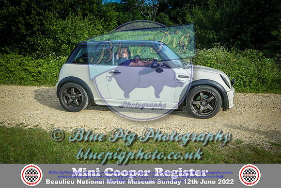 Blue Pig Photos-5-2