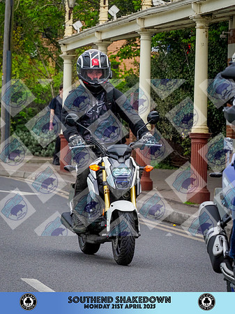 _4210138