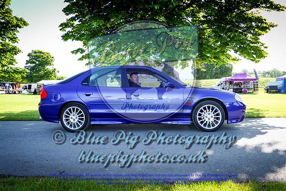 Blue Pig Photos-1
