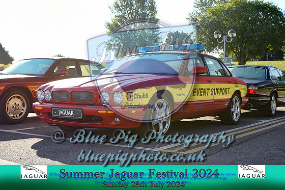 IMG-403-2