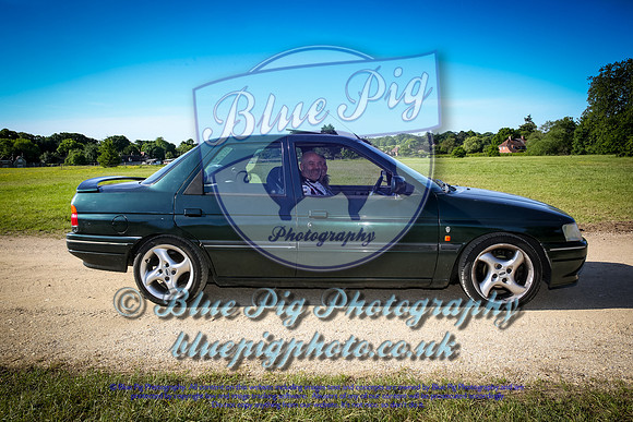Blue Pig Photos-8