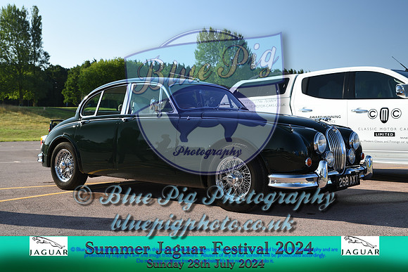 IMG-407-2