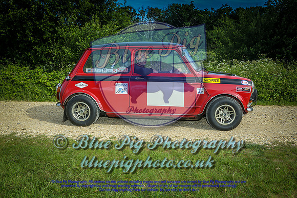 Blue Pig Photos-10