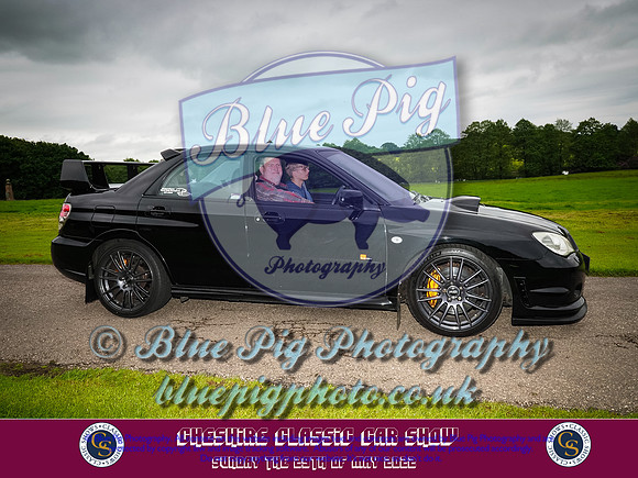 Blue Pig Photos-8-2