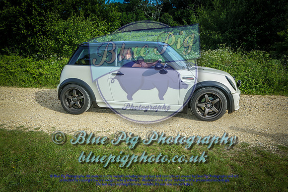 Blue Pig Photos-5