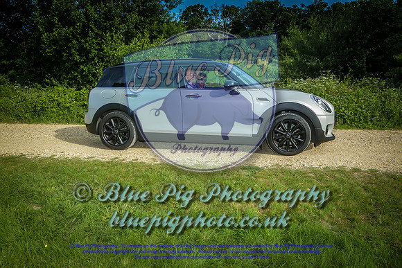 Blue Pig Photos-8