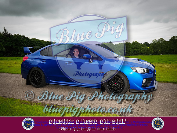 Blue Pig Photos-7-2