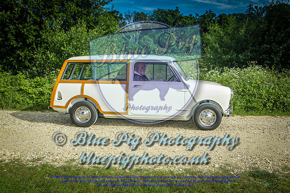 Blue Pig Photos-3
