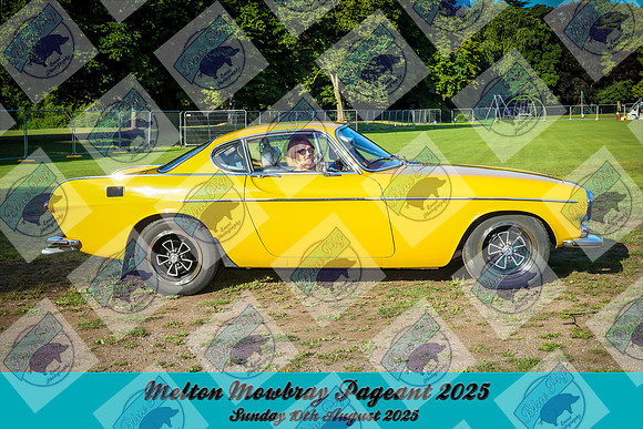 COG-0202-1-2