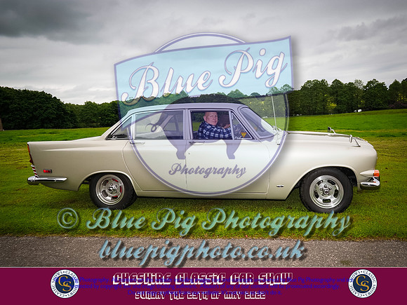 Blue Pig Photos-9-2