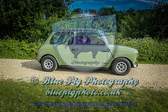 Blue Pig Photos-7
