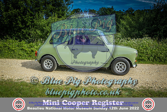 Blue Pig Photos-7-2