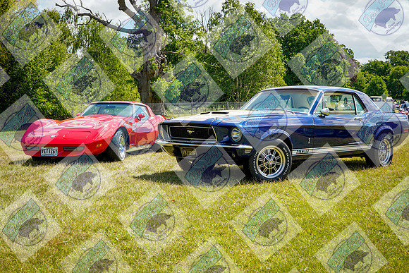 PHT05698