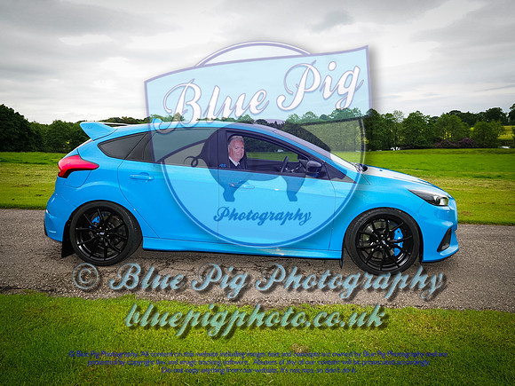 Blue Pig Photos-2