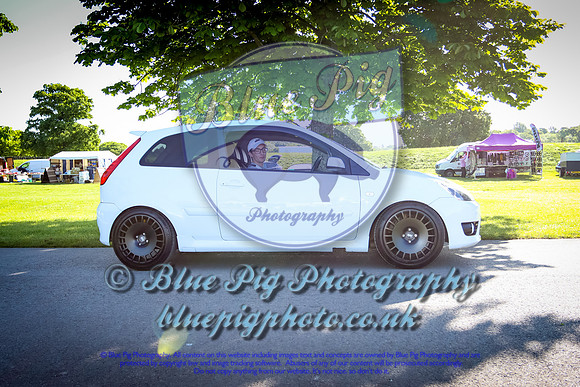 Blue Pig Photos-3