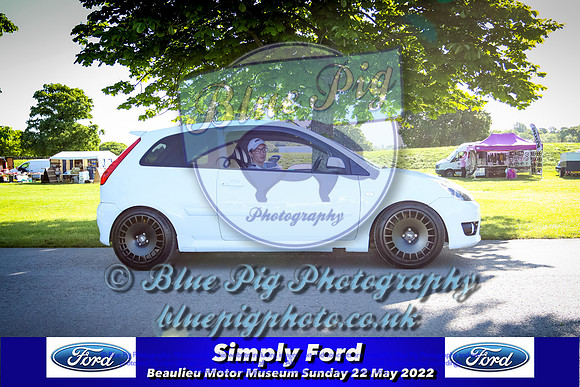 Blue Pig Photos-3-2
