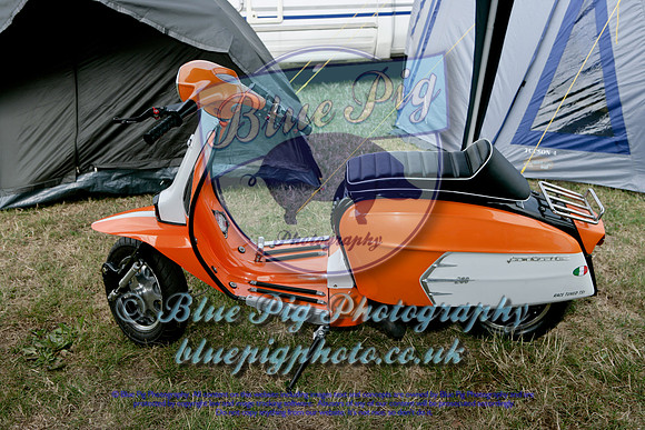 _K1Y6384