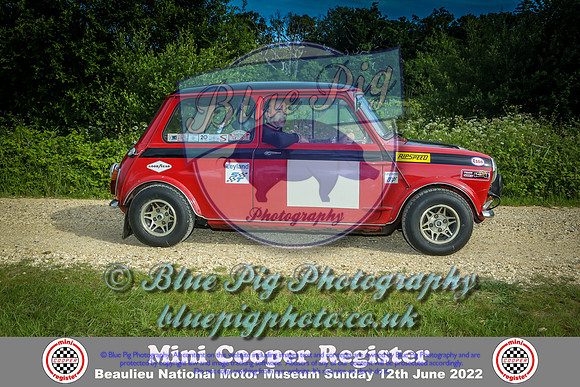 Blue Pig Photos-10-2